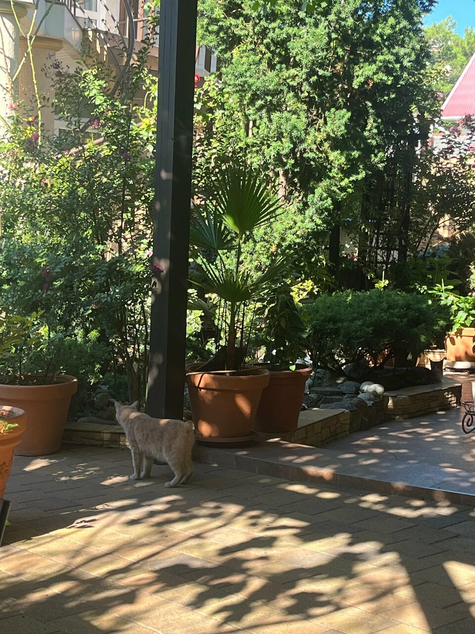 Гостиница Лорис Геленджик-93