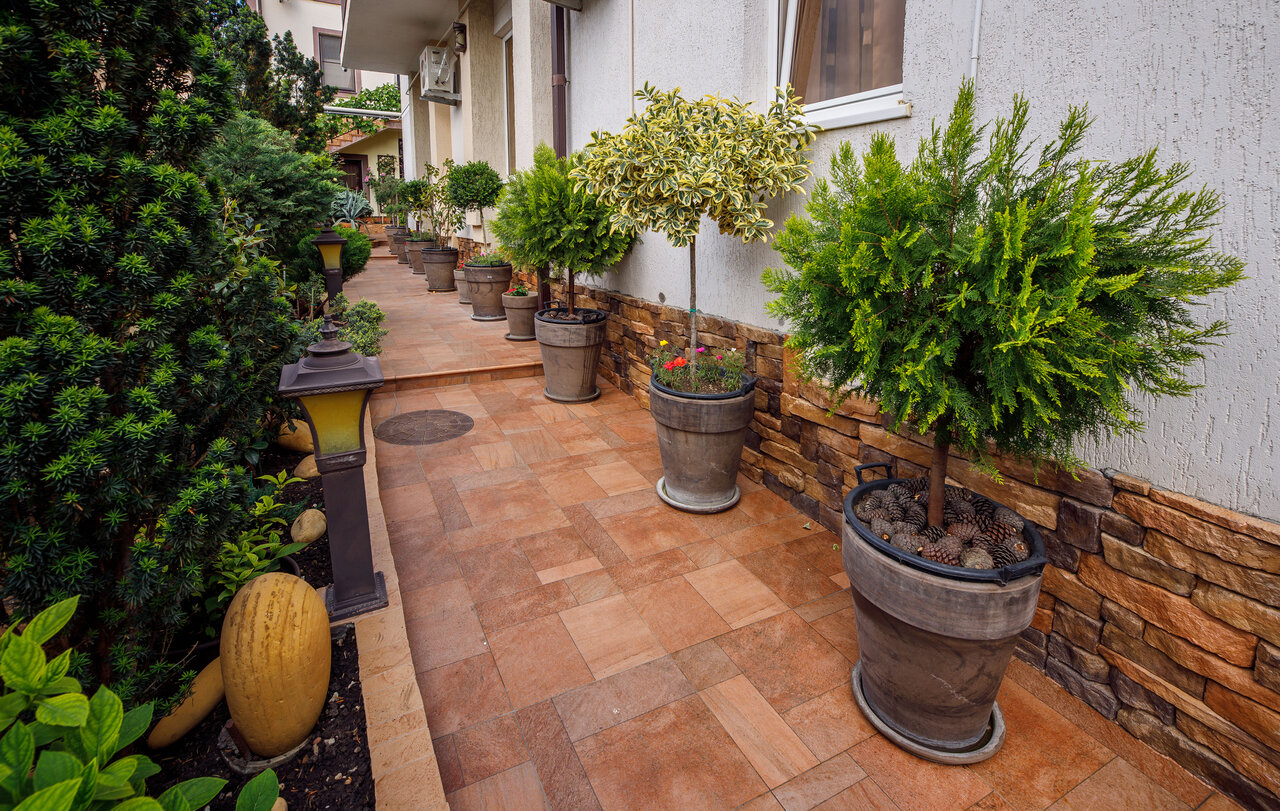 Гостиница Лорис Геленджик-47