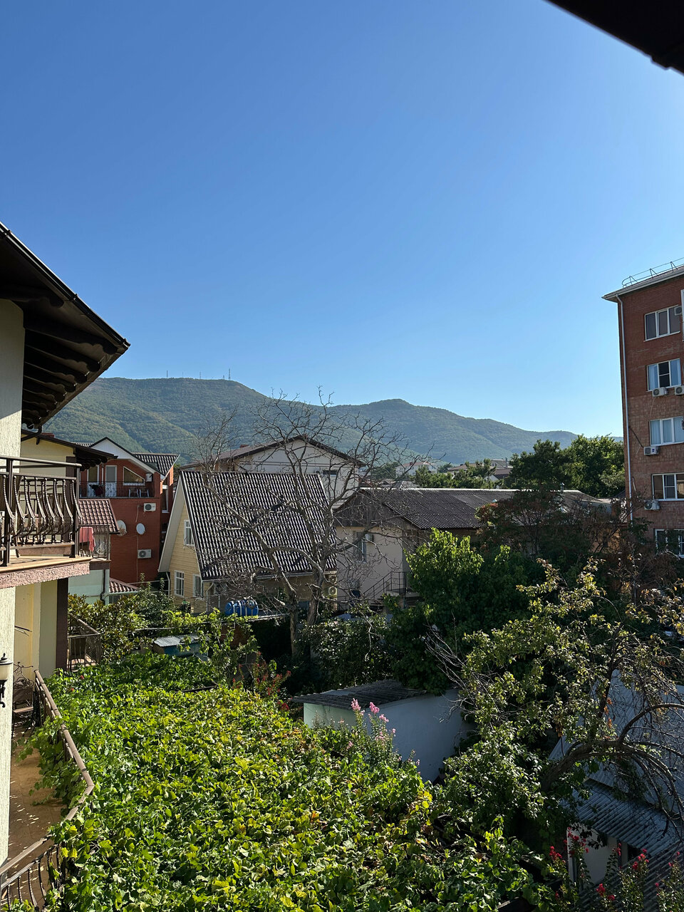 Гостиница Лорис Геленджик-182