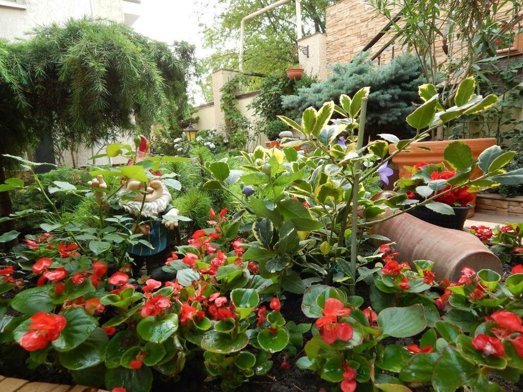 Гостиница Лорис Геленджик-69