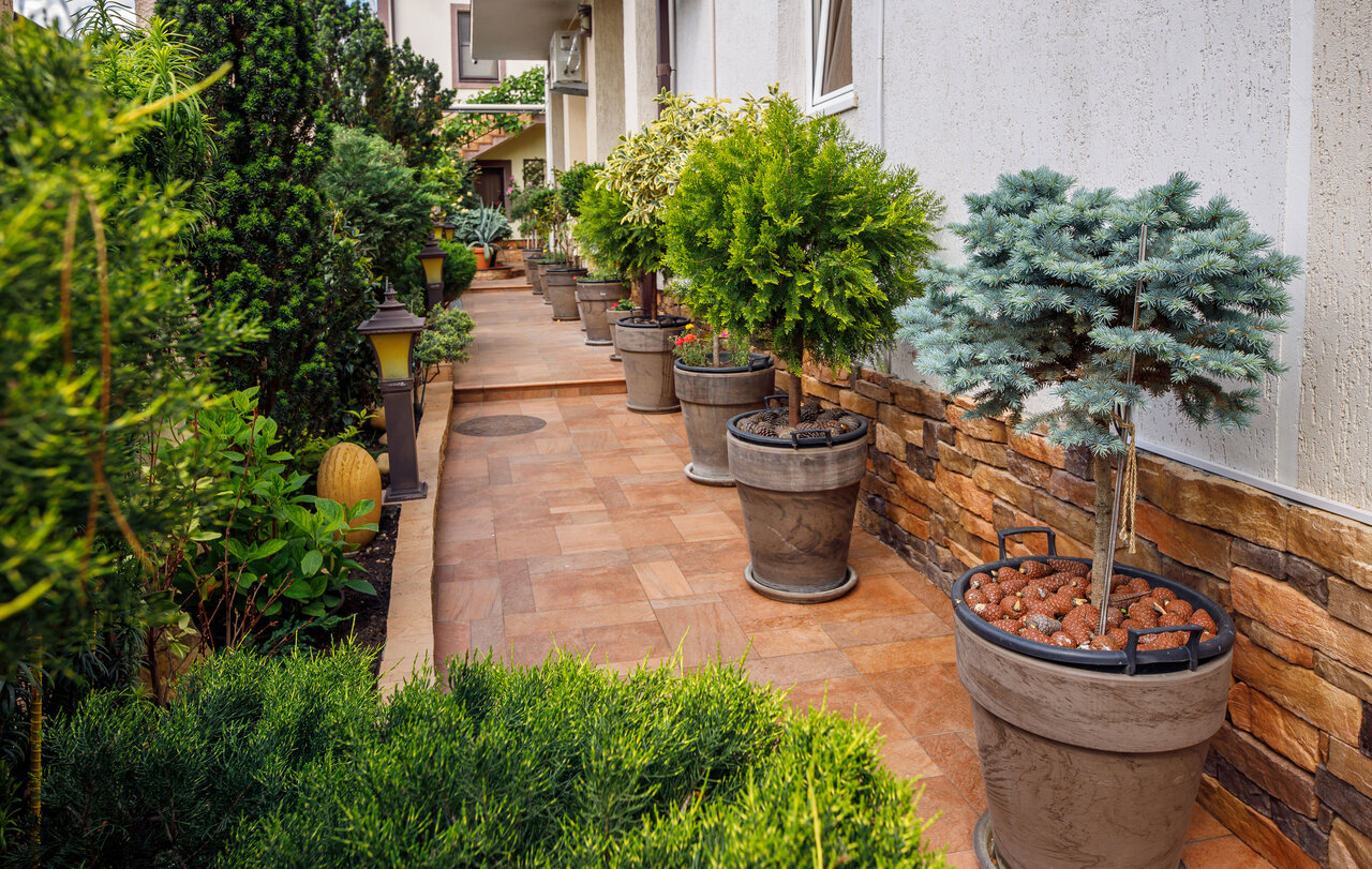 Гостиница Лорис Геленджик-31