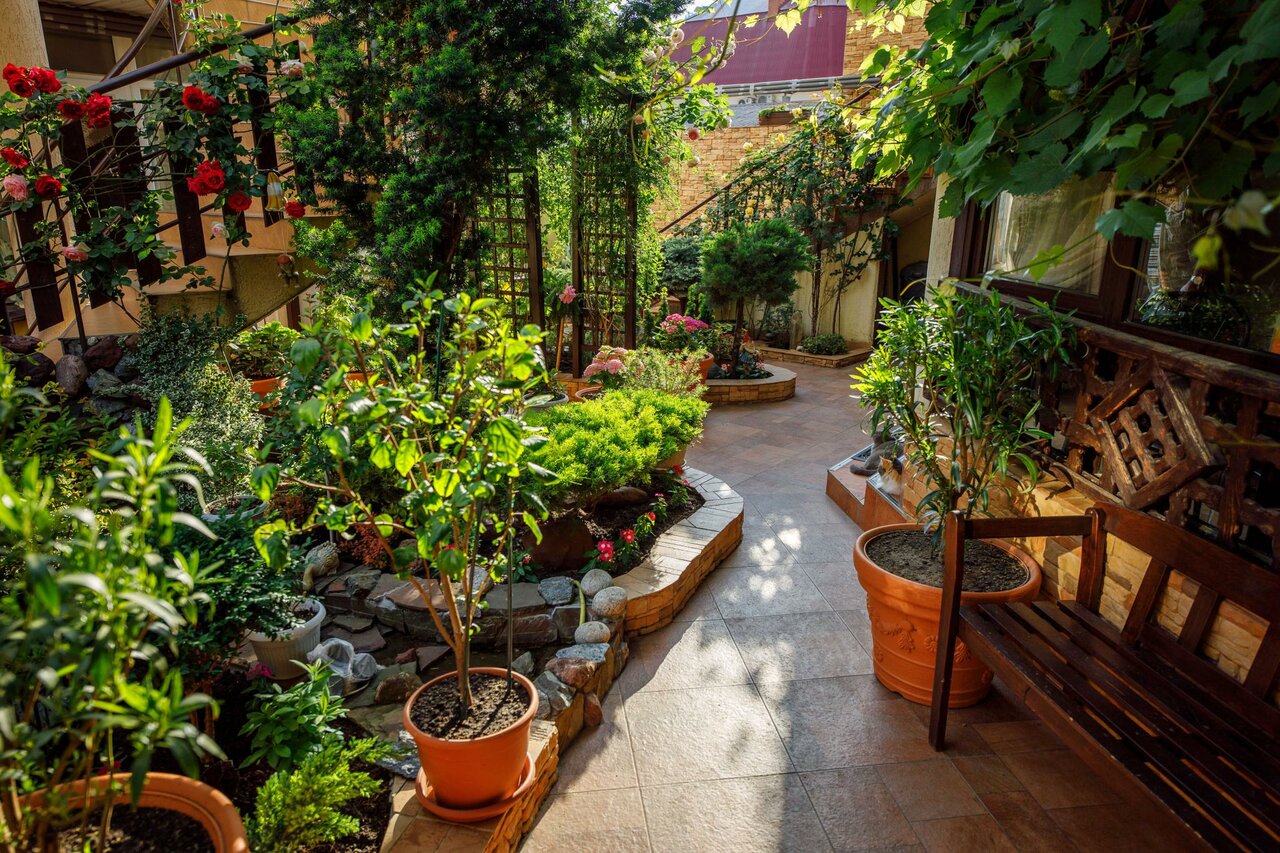 Гостиница Лорис Геленджик-105