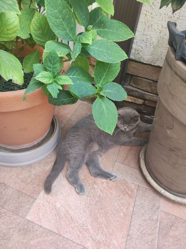 Гостиница Лорис Геленджик-61