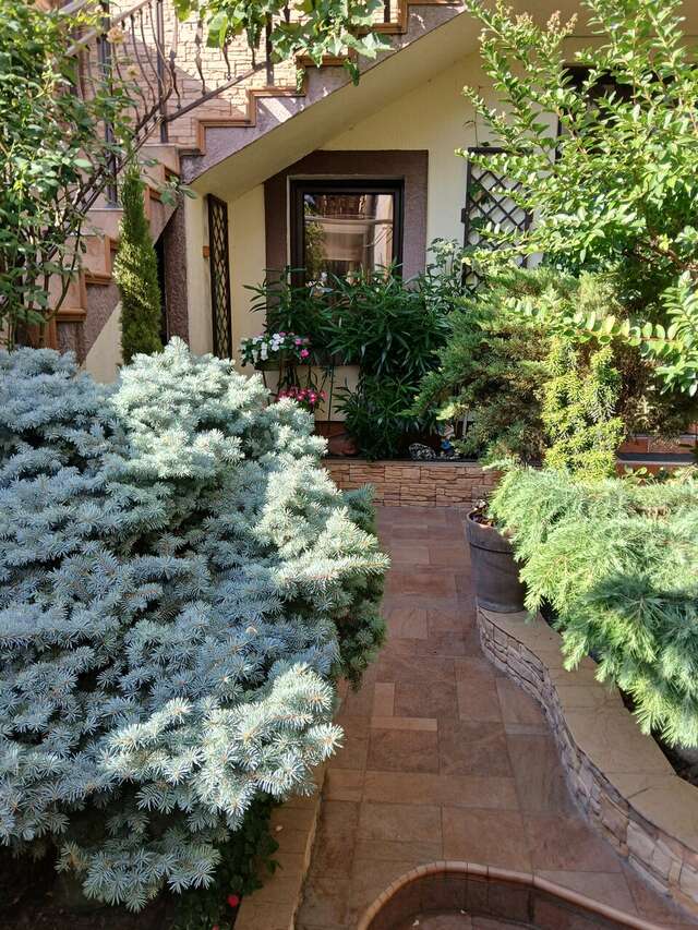 Гостиница Лорис Геленджик-69