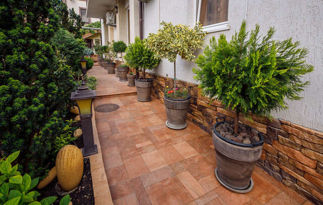 Гостиница Лорис Геленджик-46