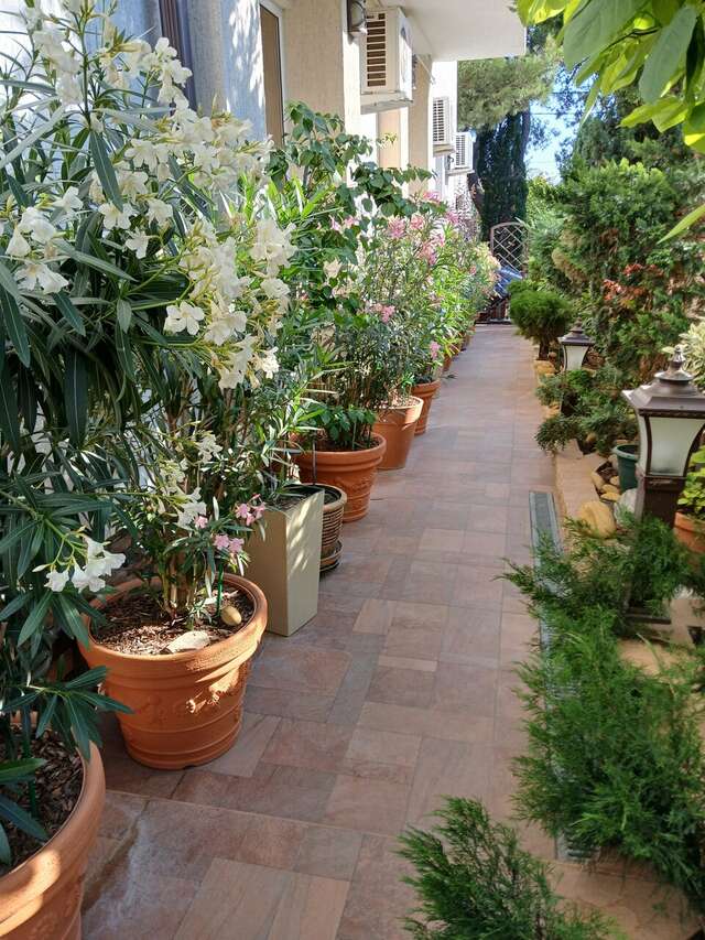 Гостиница Лорис Геленджик-89