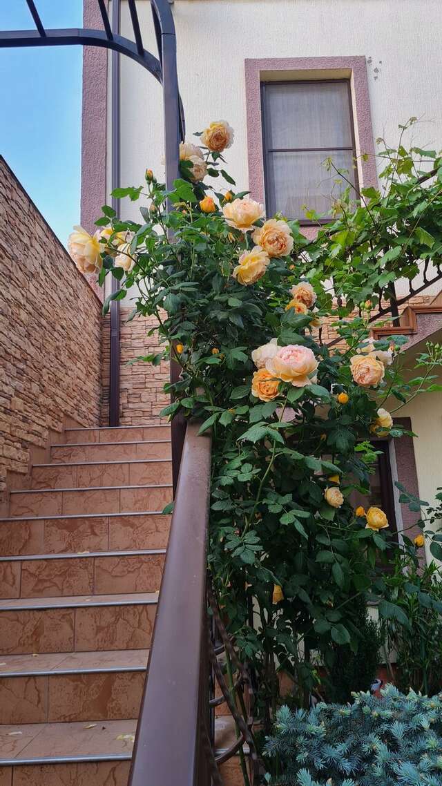 Гостиница Лорис Геленджик-29