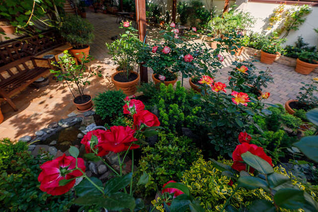 Гостиница Лорис Геленджик-32