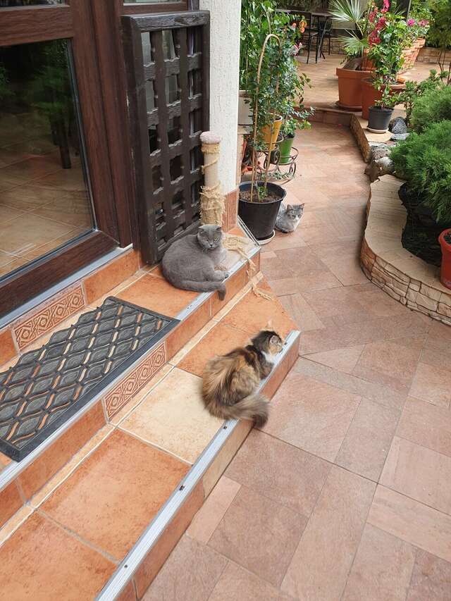 Гостиница Лорис Геленджик-100