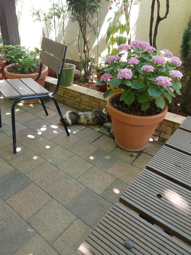 Гостиница Лорис Геленджик-27