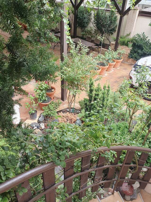 Гостиница Лорис Геленджик-123