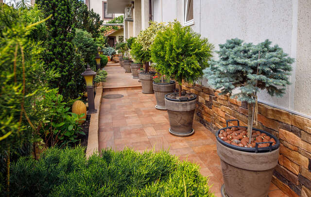 Гостиница Лорис Геленджик-30