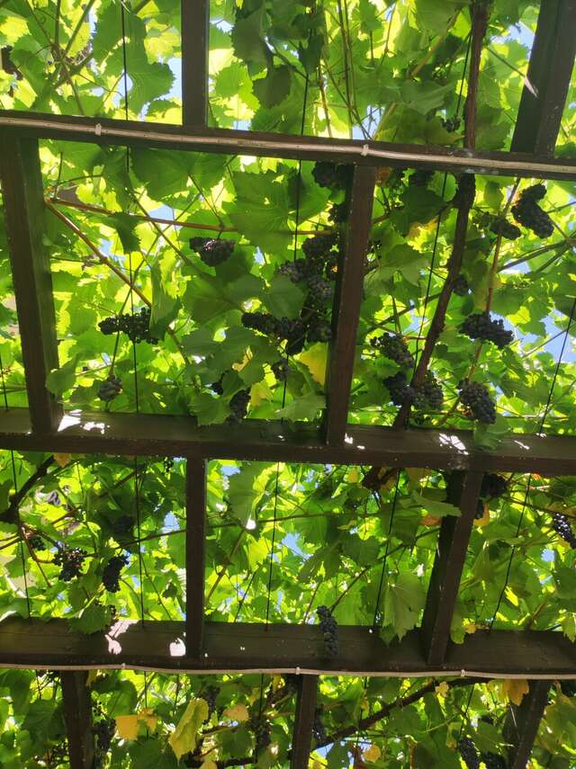 Гостиница Лорис Геленджик-108